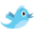 Twitter feed
